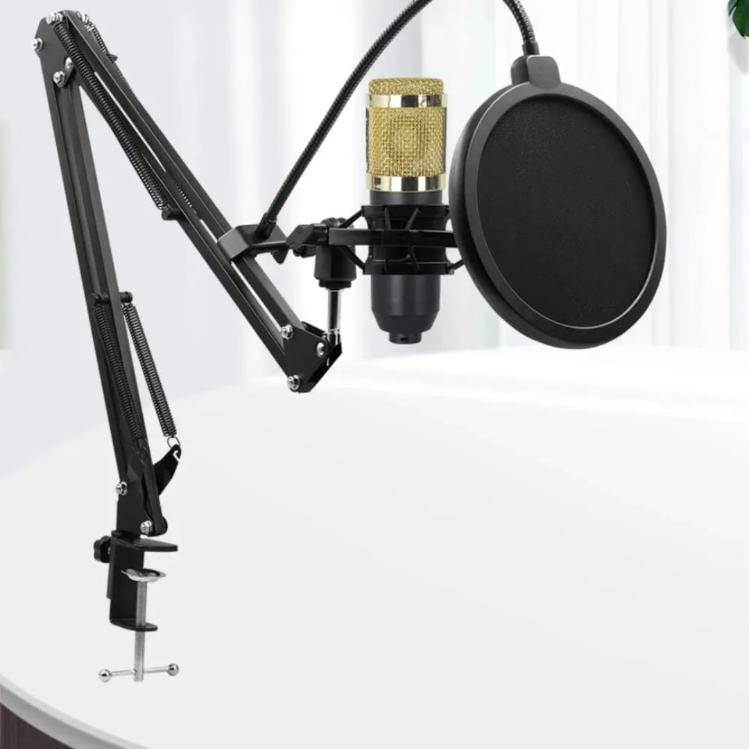 BM800 Professional Mic Studio Condenser Microphone